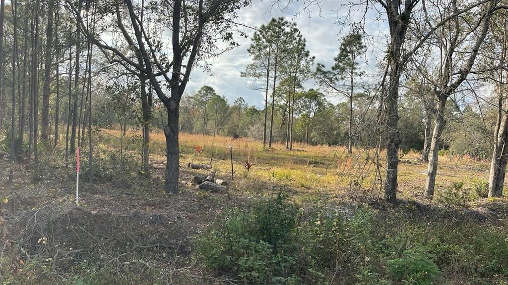 待售: $100,000 (3.54 acres)