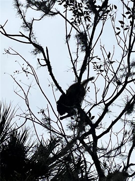 For Sale: $125,000 (0.14 acres)