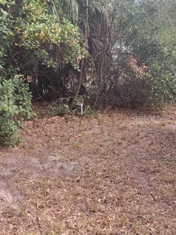 For Sale: $23,000 (0.46 acres)