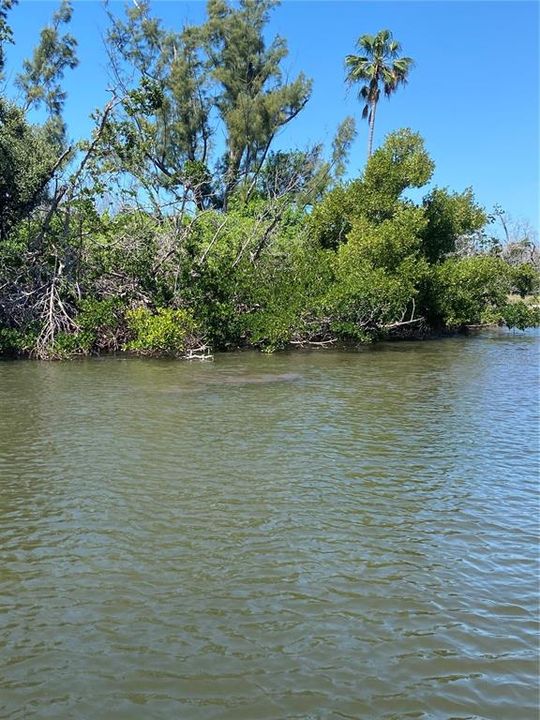 En Venta: $139,900 (0.30 acres)