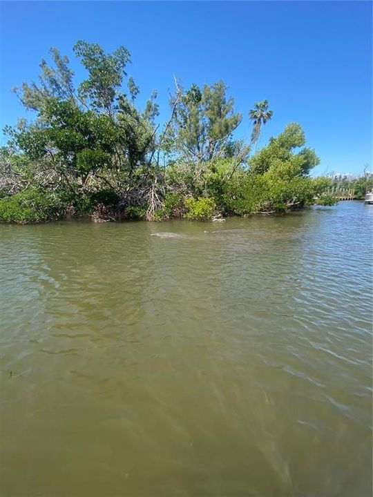 En Venta: $139,900 (0.30 acres)