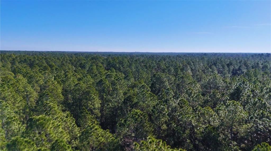 En Venta: $900,000 (90.00 acres)