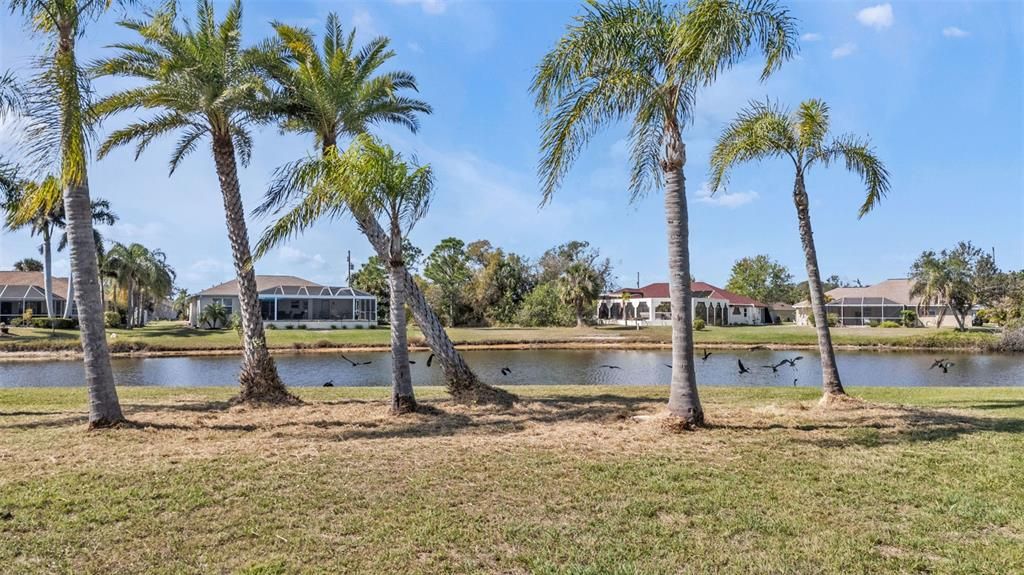 待售: $69,900 (0.22 acres)