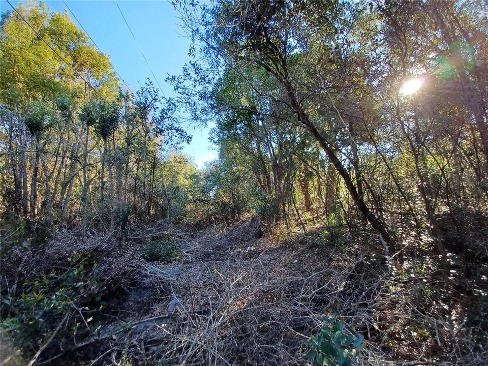 待售: $275,000 (0.78 acres)