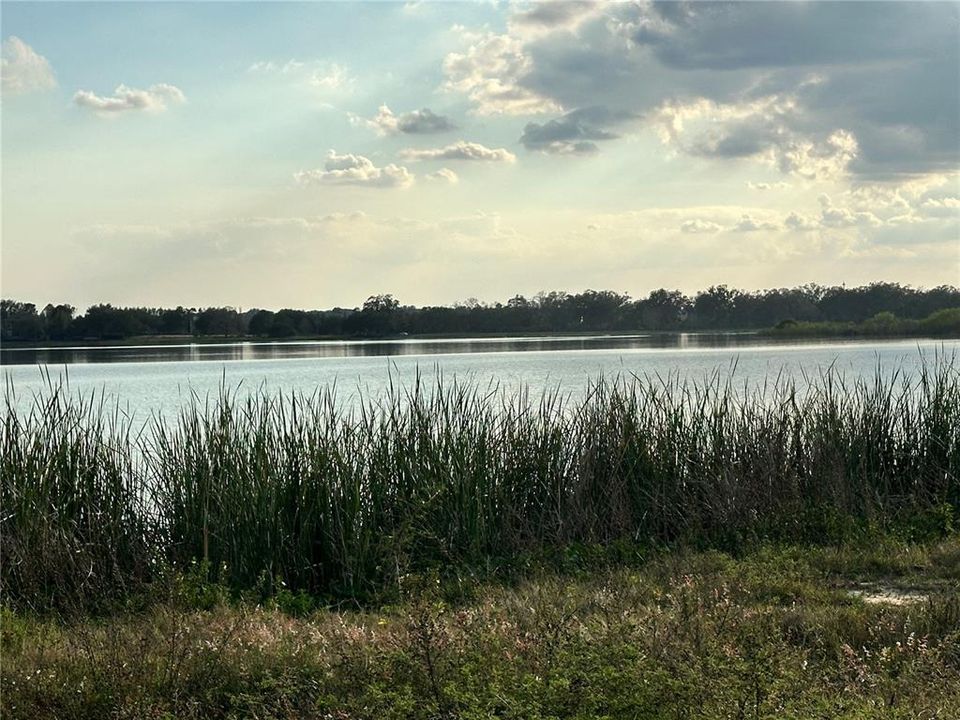 For Sale: $850,000 (0.31 acres)