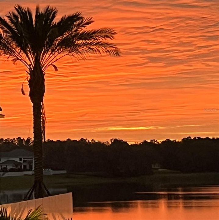 For Sale: $850,000 (0.31 acres)