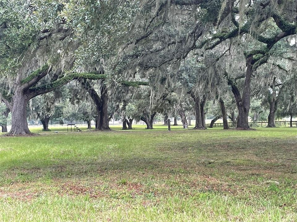 En Venta: $349,000 (10.00 acres)