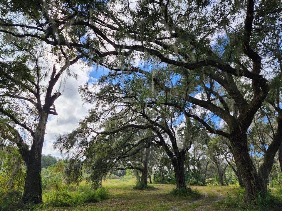 En Venta: $795,000 (25.04 acres)