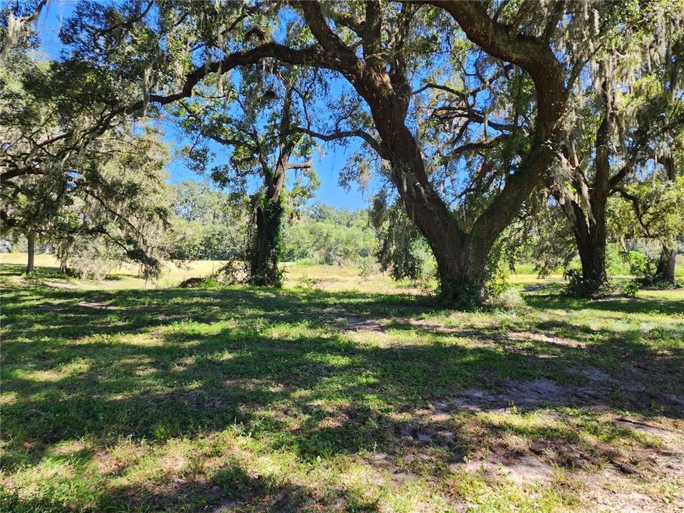 En Venta: $795,000 (25.04 acres)