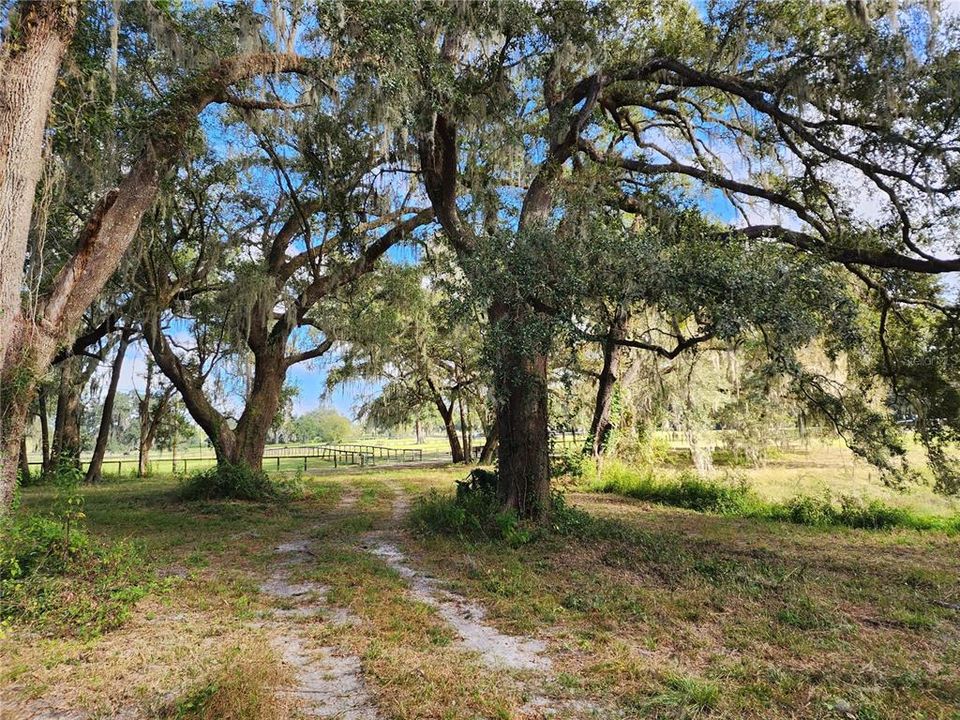 En Venta: $795,000 (25.04 acres)