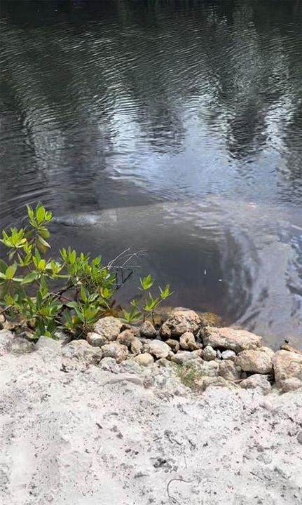 待售: $525,000 (3 贝兹, 2 浴室, 1337 平方英尺)