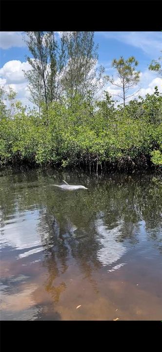 待售: $525,000 (3 贝兹, 2 浴室, 1337 平方英尺)