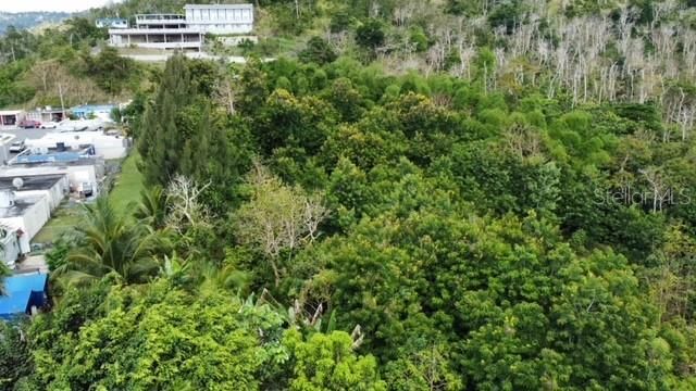 На продажу: $350,000 (26.29 acres)