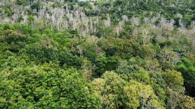 На продажу: $350,000 (26.29 acres)