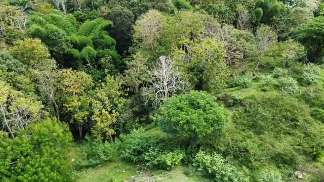 На продажу: $350,000 (26.29 acres)