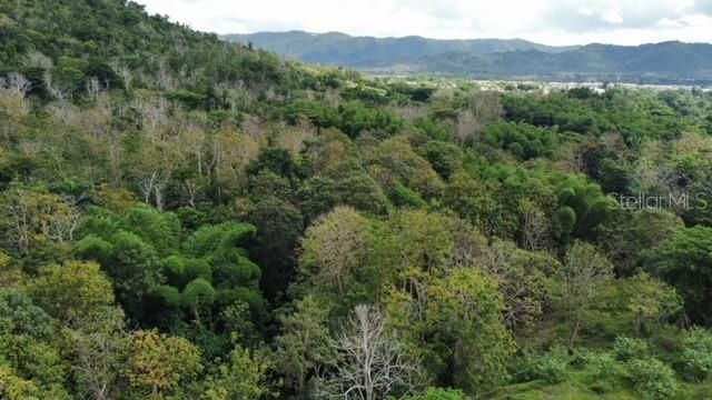 На продажу: $350,000 (26.29 acres)