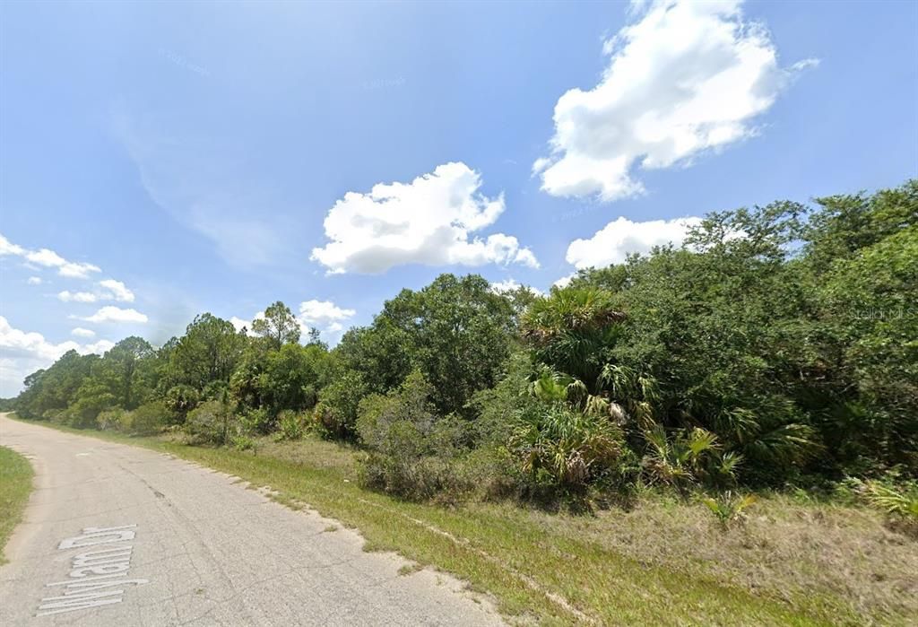 Active With Contract: $9,900 (0.25 acres)