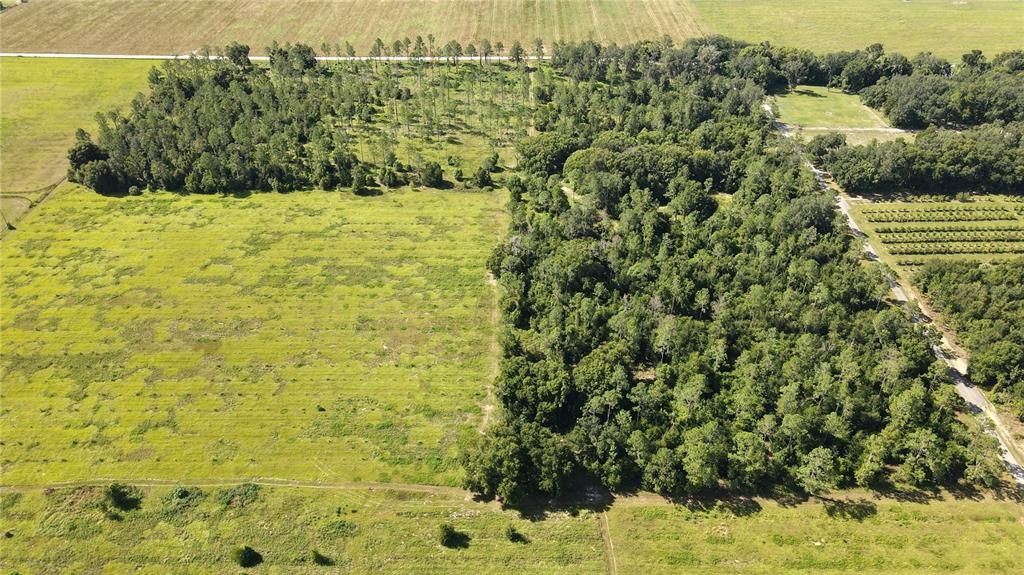 For Sale: $495,000 (10.03 acres)