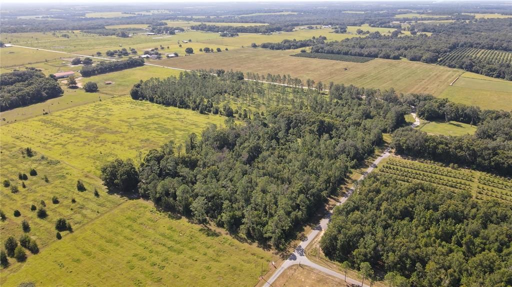 For Sale: $495,000 (10.03 acres)