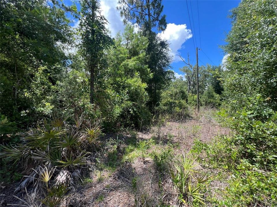 На продажу: $28,000 (0.96 acres)