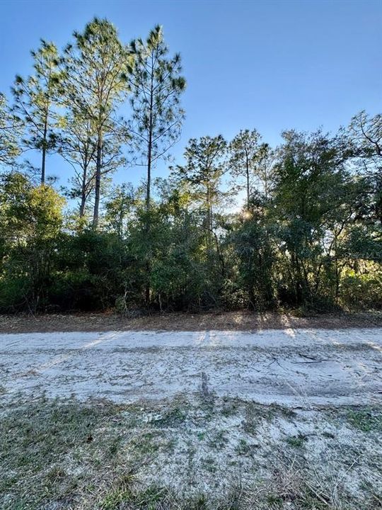 For Sale: $13,900 (0.23 acres)