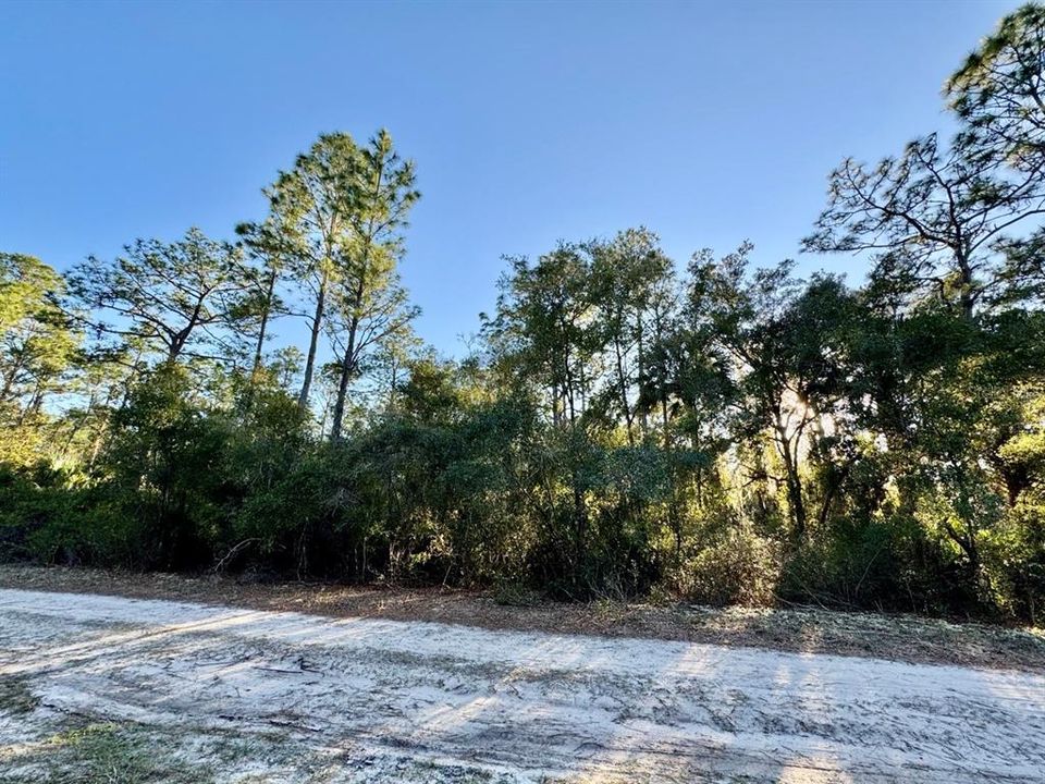 For Sale: $13,900 (0.23 acres)