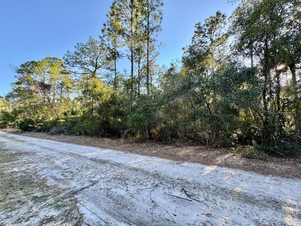 For Sale: $13,900 (0.23 acres)