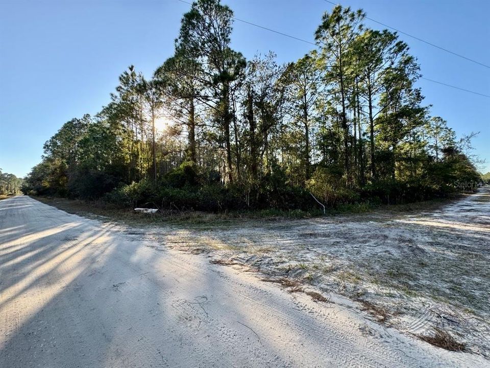 For Sale: $13,900 (0.23 acres)