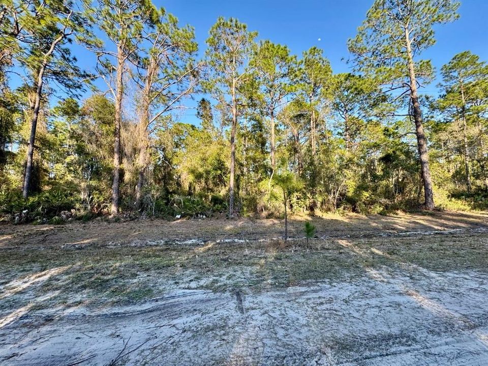 For Sale: $13,900 (0.23 acres)