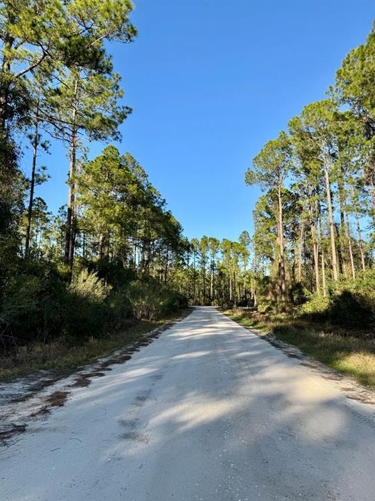 For Sale: $13,900 (0.23 acres)