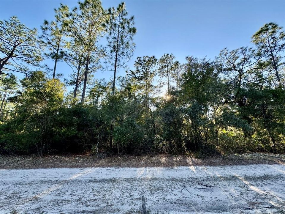 For Sale: $13,900 (0.23 acres)