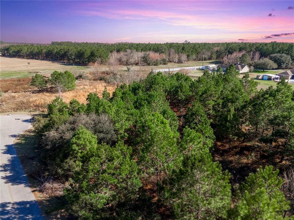 Recently Sold: $49,900 (1.01 acres)