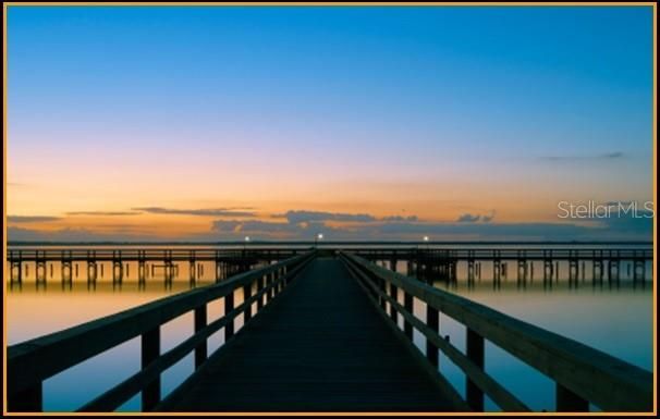 For Sale: $20,000 (0.50 acres)