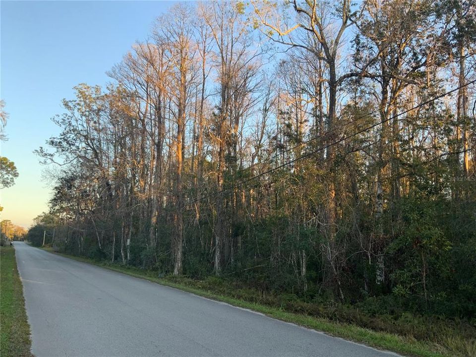 На продажу: $65,000 (1.57 acres)