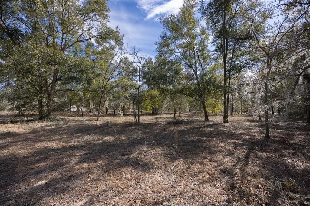 Recently Sold: $70,000 (1.21 acres)