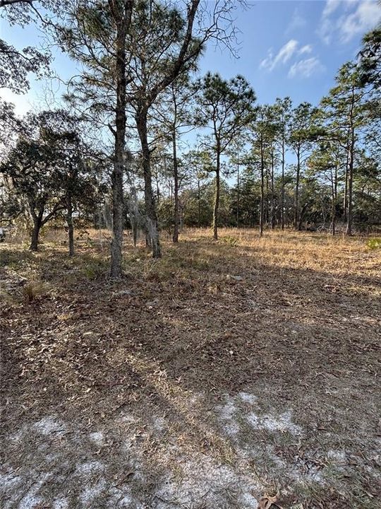 For Sale: $32,000 (0.51 acres)