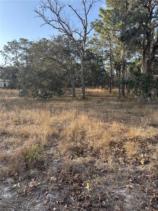 For Sale: $32,000 (0.51 acres)