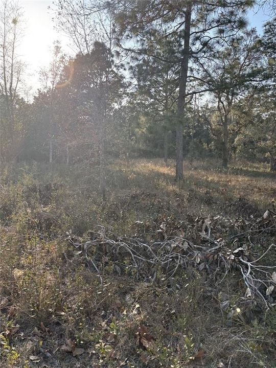 For Sale: $32,000 (0.51 acres)