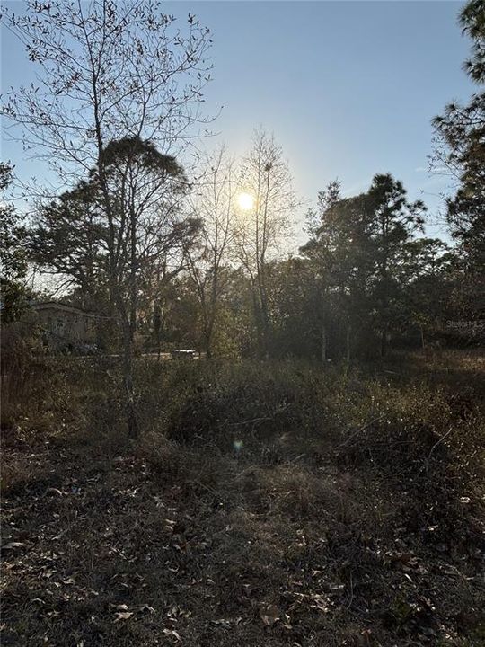 For Sale: $32,000 (0.51 acres)