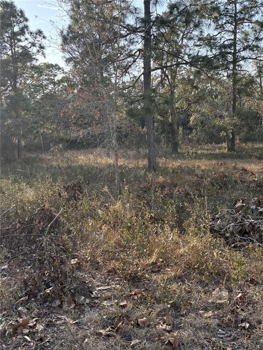 For Sale: $32,000 (0.51 acres)