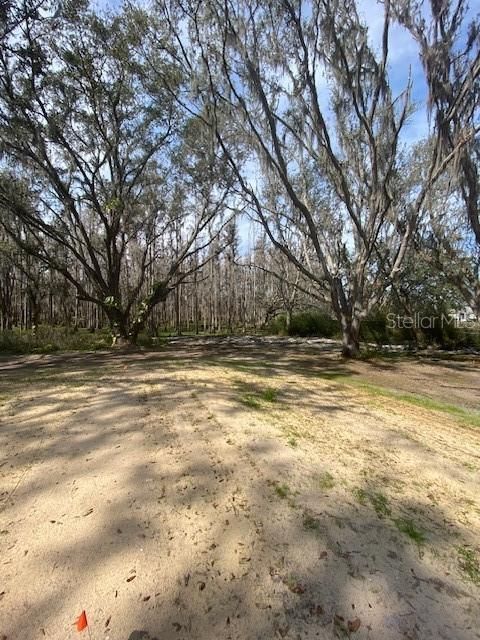 На продажу: $399,900 (4 спален, 3 ванн, 2432 Квадратных фут)