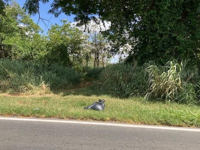 En Venta: $800,000 (13.02 acres)