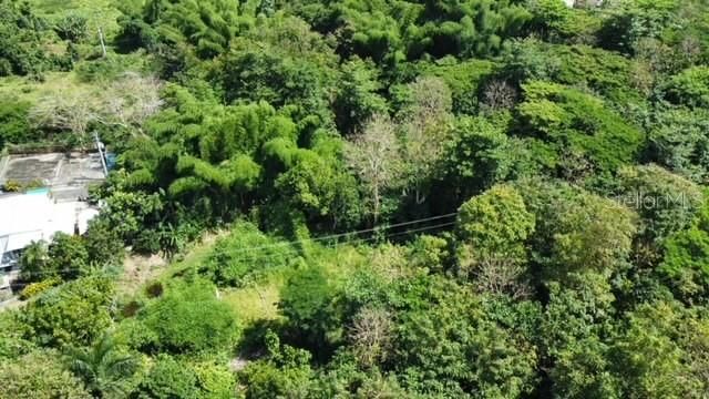 En Venta: $800,000 (13.02 acres)