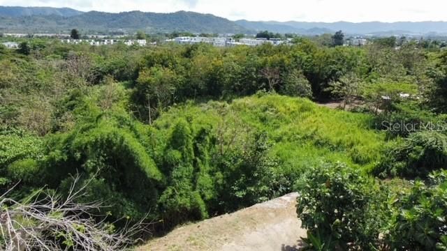 En Venta: $800,000 (13.02 acres)