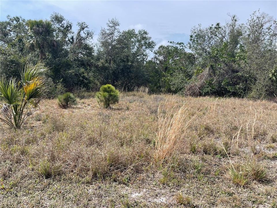 1 acre lot