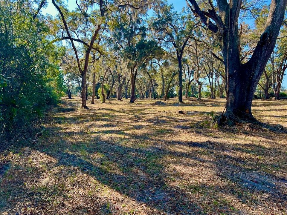 Recently Sold: $228,000 (9.50 acres)