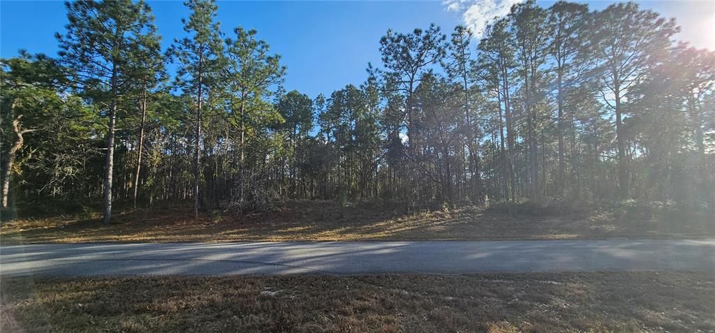 For Sale: $650,000 (2.75 acres)