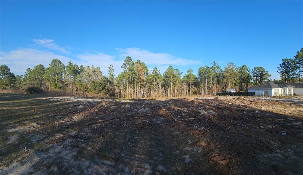 待售: $55,000 (0.41 acres)