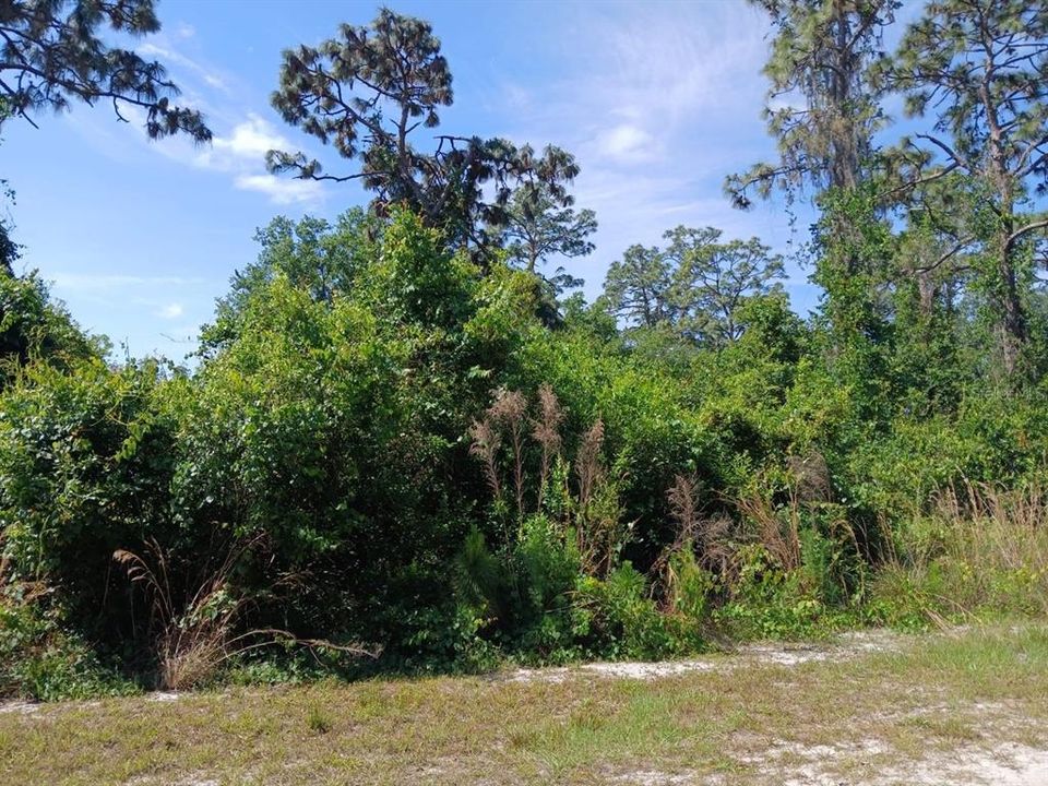 For Sale: $68,500 (1.00 acres)