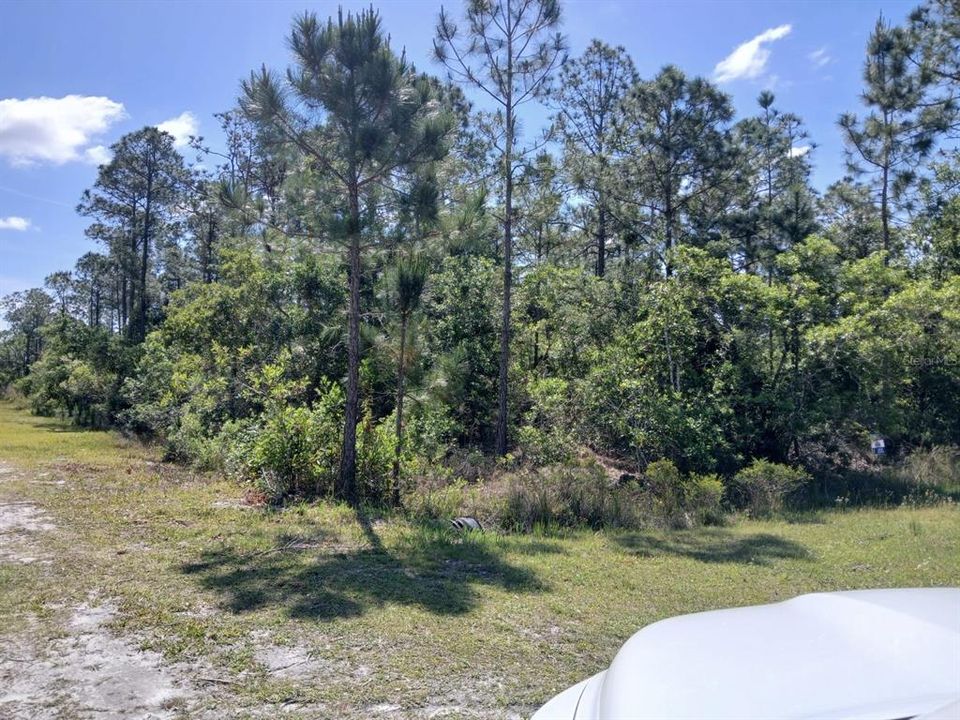 For Sale: $68,500 (1.00 acres)